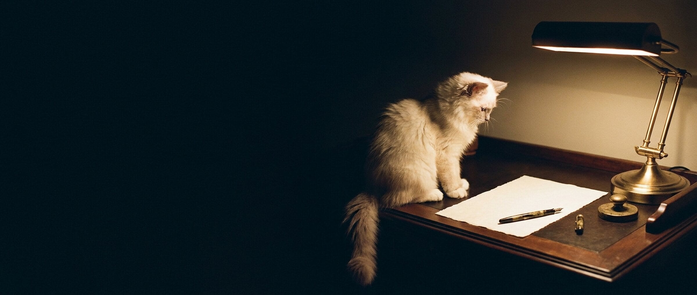Dunkler Schreibtisch mit Messinglampe und einem Blatt Papier